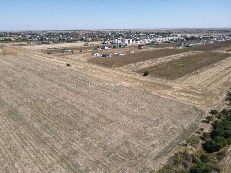 Teren Intravilan Com Berceni | utilitati: curent - gaz | #MG14E - 6