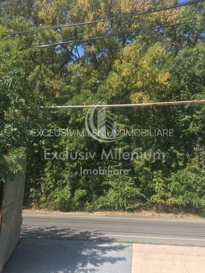 Casa la Padurea Rosu 650 Mp + Teren ideal Activitati Comerciale/Birouri - 4