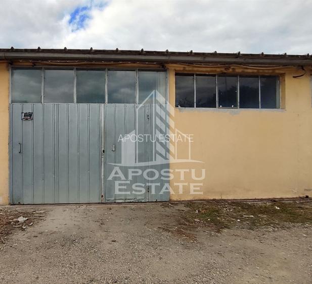 Hala de 80mp utili, curent trifazic, zona Gradiste Arad - 9