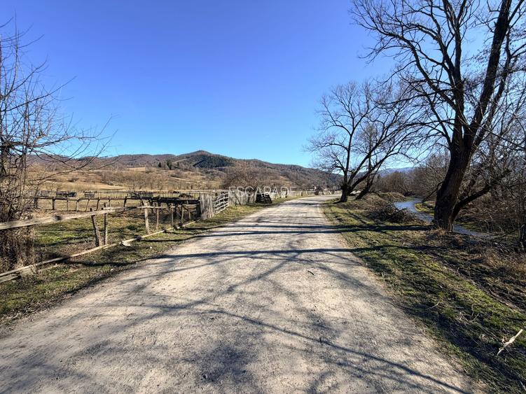 OCAZIE UNICA / SINCA NOUA / Teren extravilan pe drumul spre Manastire! - 5