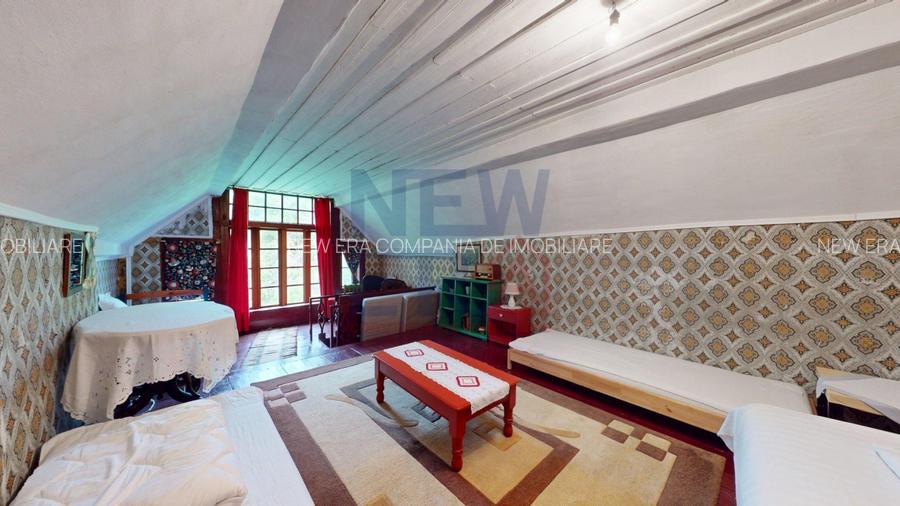 CONACUL GEORGE STEPHANESCU - 20