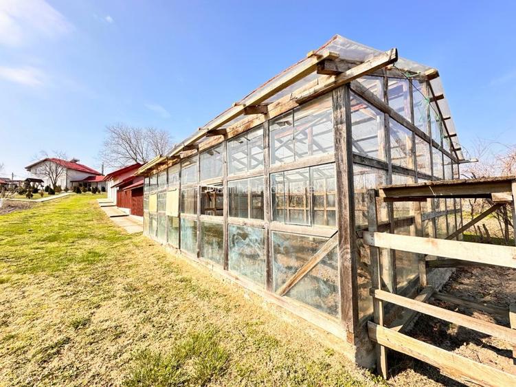 Domeniul de langa Fetesti, Maltezi, ideal pentru evenimente - 16