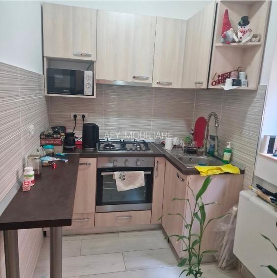 De inchiriat apartament 2 Camere Tineretului - 4