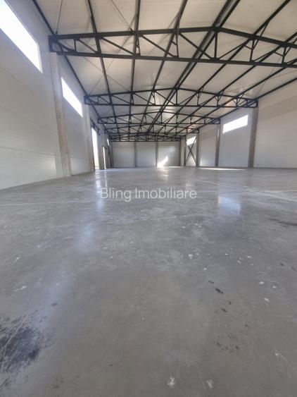 Hala de inchiriat cu sup 599 mp, zona Baciu - 4