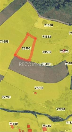 RECO Teren intravilan in Arieseni 1700mp cu Utilitati - 4