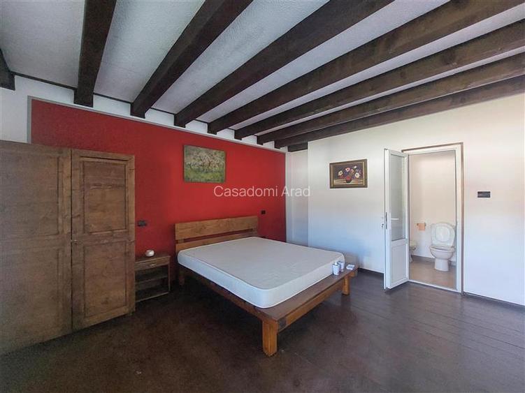 Imobil pentru pensiune sau alte activitati in Pischia - 10