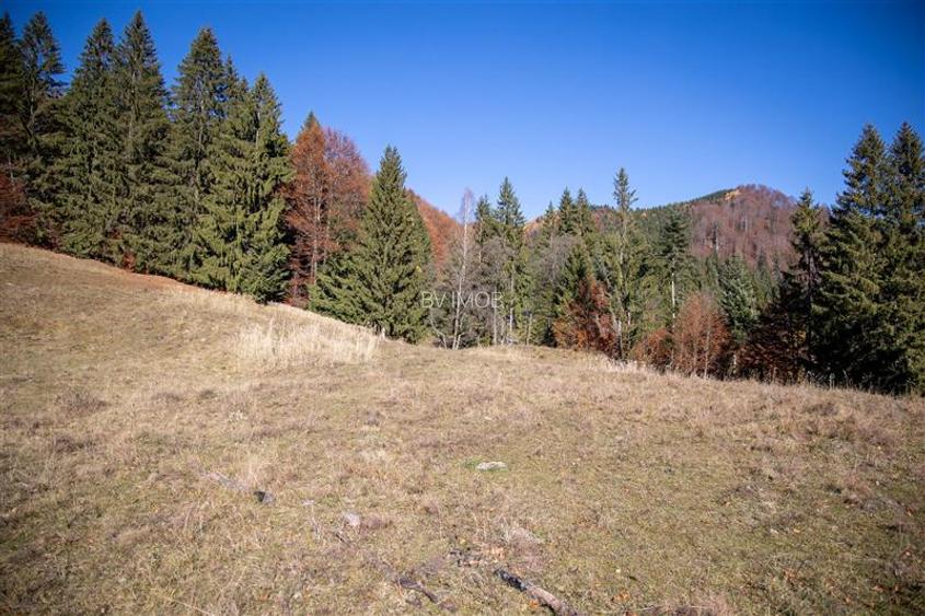 Teren de Vis langa Siriu  – 20000 mp ideal pentru Complex turistic Comision 0% - 20