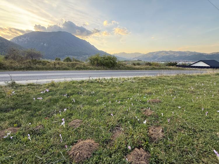 Teren intravilan 500 sau 1000 mp Bran-Tohanita la dum asfaltat - 21