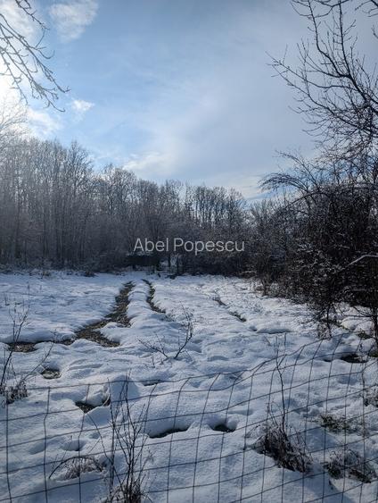 Teren intravilan de vânzare – Peșteana Jiu  - 4