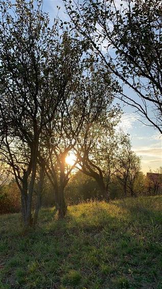 Teren 24 de ari zona Miron Costin - 2