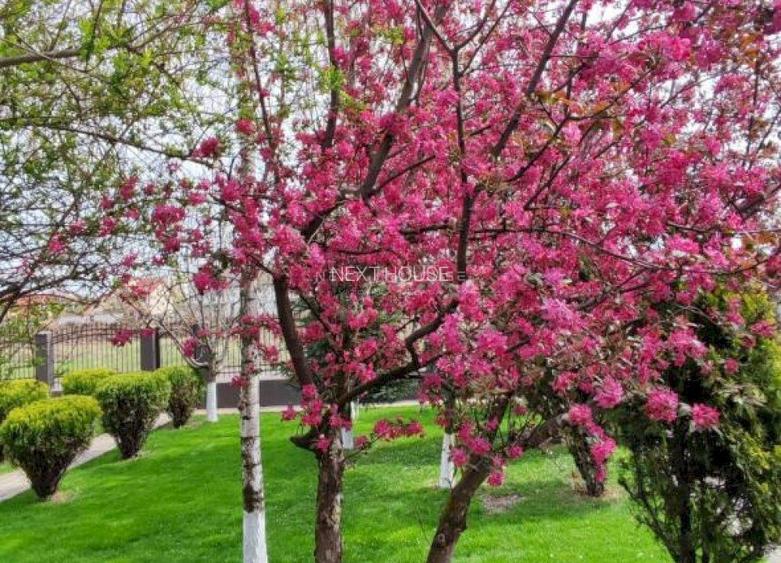 Casa 3 camere Domnesti - 15