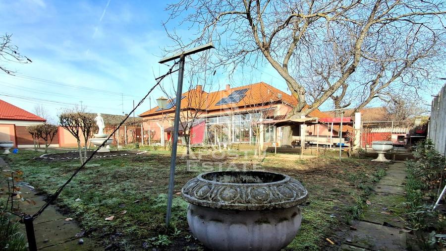 Casa Spatioasa cu Teren Generos in Vladimirescu - 30