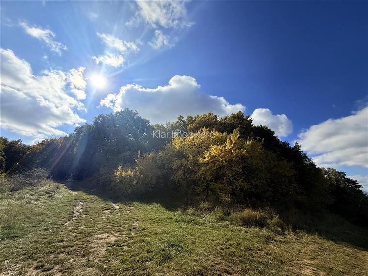 Comision 0% Oportunitate investitie teren extravilan  Salicea - 5