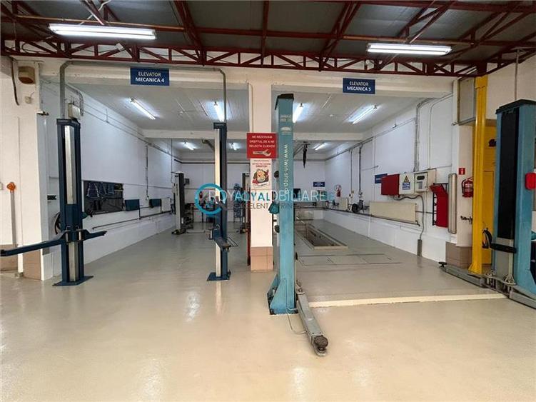 Royal Imobiliare - Spatiu industrial - service auto - 8