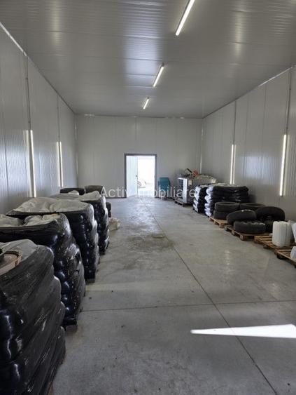 Hală industrială nouă de închiriat – Lumina, Constanța - 3