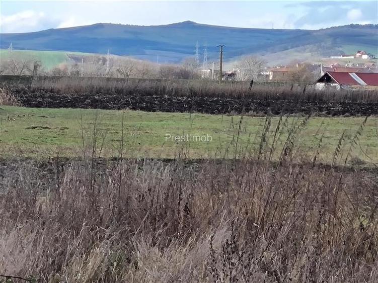 Teren intravilan de vanzare,70 ari cu utilitati la poarta - 4
