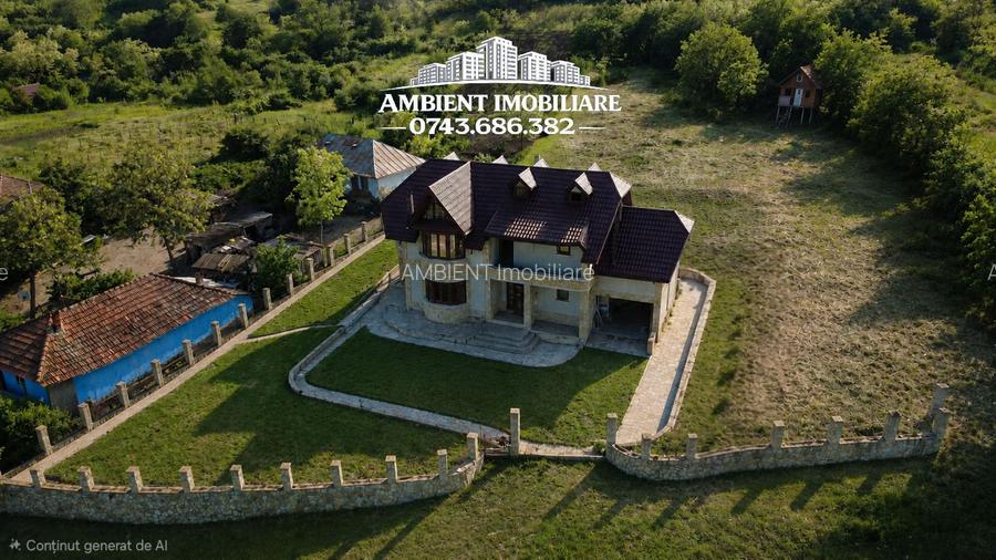 Casă spațioasă cu teren generos de 3.200 mp, VASLUI - MÎNJEȘTI; - 6