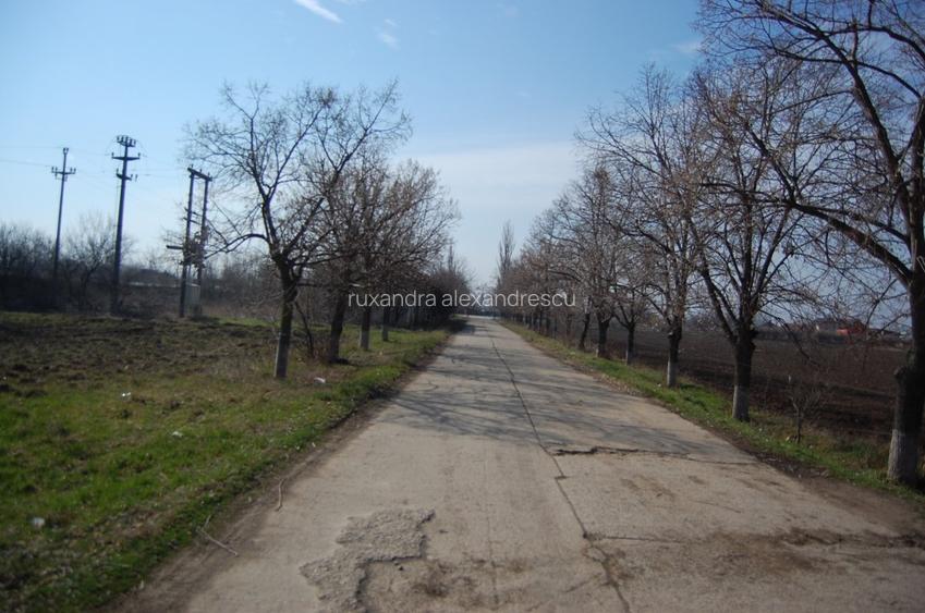 Teren pretabil SUPERMARKET la 30 km de Bucuresti CU DESCHIDERE LA  DN3 - 2