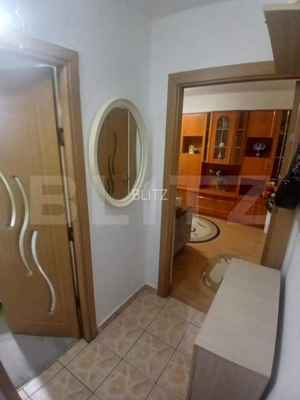 Apartament 2 camere zona Alexandru cel Bun  - 8