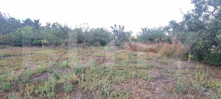 Casa 2 corpuri si anexe, 69 mp, zona Tritenii de Sus - 17