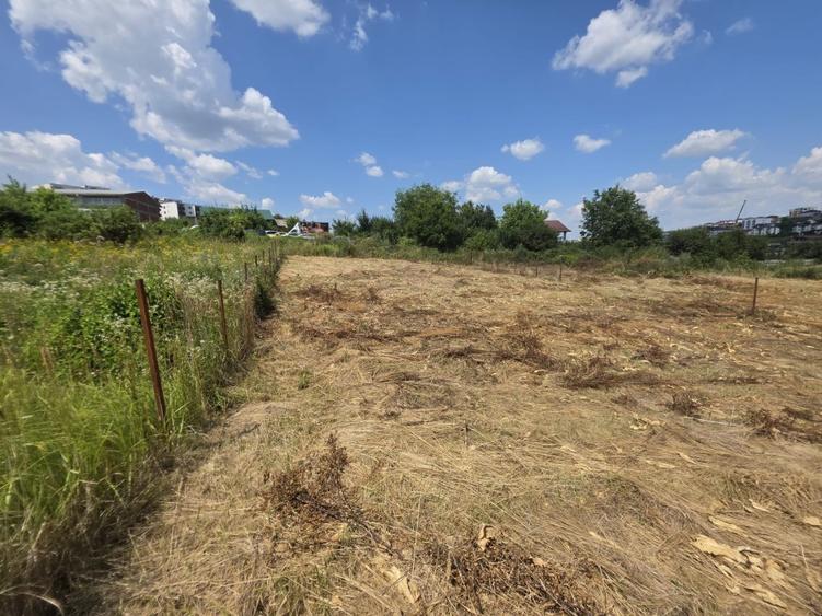 Teren intravilan de vânzare – sat. Vișan, Com. Bârnova, Iași | 1.600 mp |