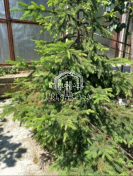 Casa zona Dorobanti teren 500mp toate utilitatile 58.000 euro - 6