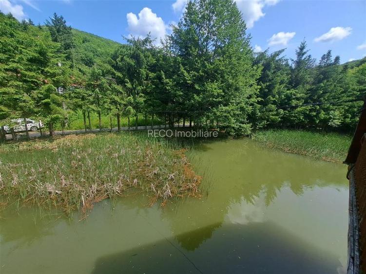 Cabana pe apa in Padurea Neagra - 15