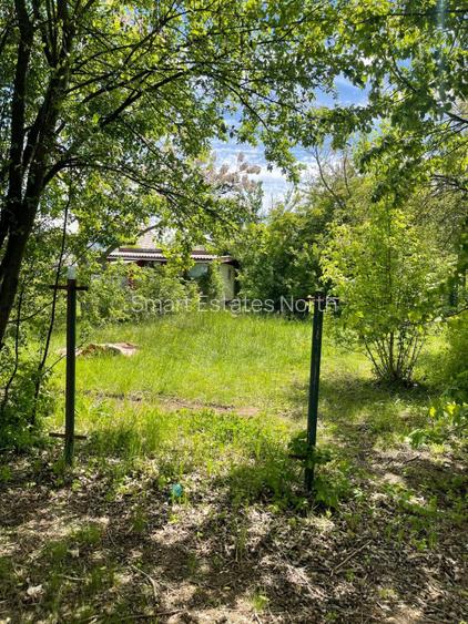 Teren 1000 MP d 24 m la lac | Snagov Gruiu | Pozitie excelenta - 5