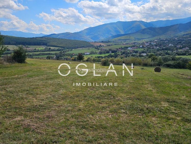 Teren Tocile (parcelabil) 3500 mp  - 12