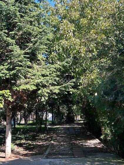 Casă individuală Buftea, 3.162 mp teren, ieșire spre lac - 45