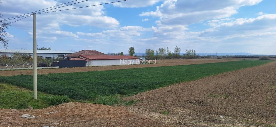 Teren intravilan la 7km de la Satu Mare  - 2