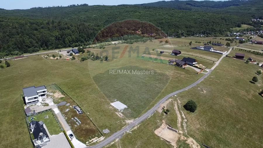 Teren 3,757mp Paltinoasa / Strada principala - 8