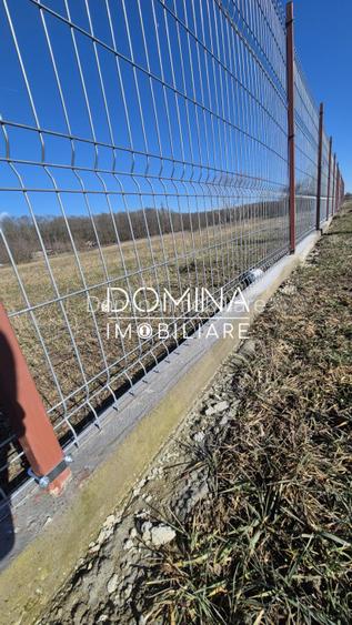 Vanzare teren intravilan imprejmuit - zona linistita, Dragutesti - 8