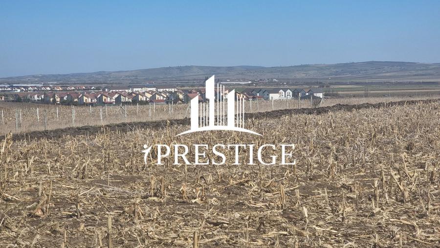 TEREN INTRAVILAN PENTRU CONSTRUCȚIE CASĂ | ȘURA MICĂ | PUZ APROBAT - 4