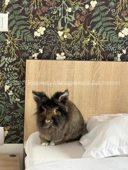 Unirii / Calea Victoriei: Boho Hideaway – 46 m² SU | AN541-13B-Et5 - 2