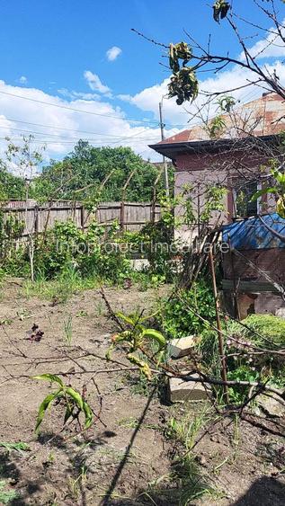 Casă cu 3 camere, garaj și anexe, teren 540 mp, zonă liniștită, fără trafic - 12