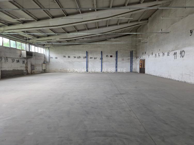 Hala Bartolomeu Brintex - 5