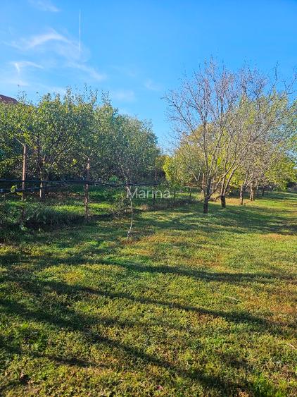 De vanzare teren intravilan ingradit si ponton la lacul Balotesti DJ101 - 6