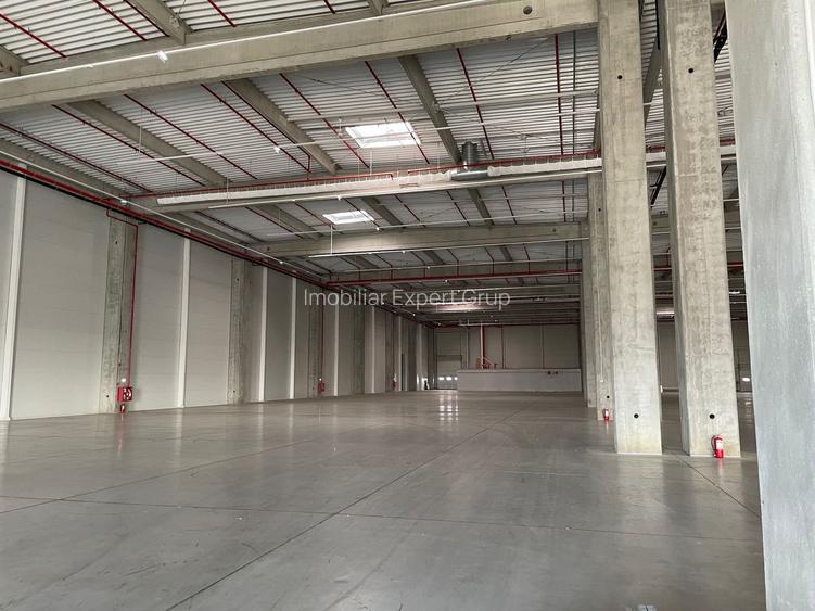 Spatiu de depozitare si productie centru logistic  Chitila-Buftea - 5