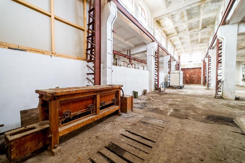 Hală spațioasă în Lipova oportunitate investiție - 6