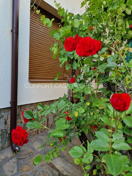 Dacia -  Eminescu - Vasile Lascar - vila cu  4 camere - renovata 2025 - gradina - 11