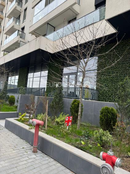 spatii comerciale premium (diferite suprafete disponibile 300,500,800 mp) - 8