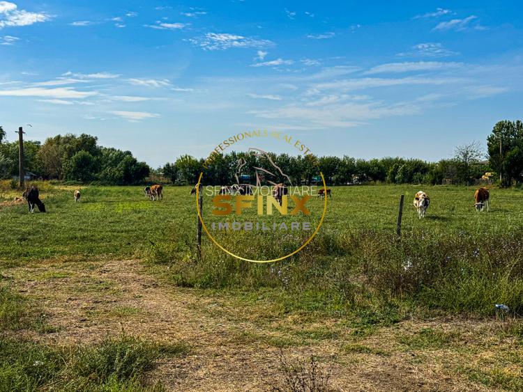 Teren intravilan cu potential de investitie 62000mp  - 8