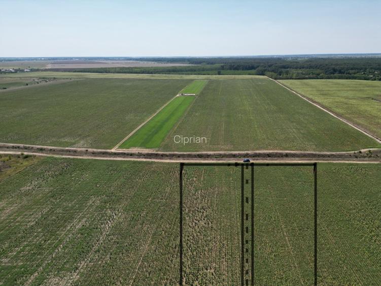 Teren intravilan langa padure Corbeanca Park - 5