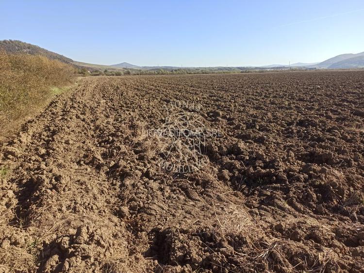 Teren 7500 mp-ideal agricultura, invetitie-Sarata - 2