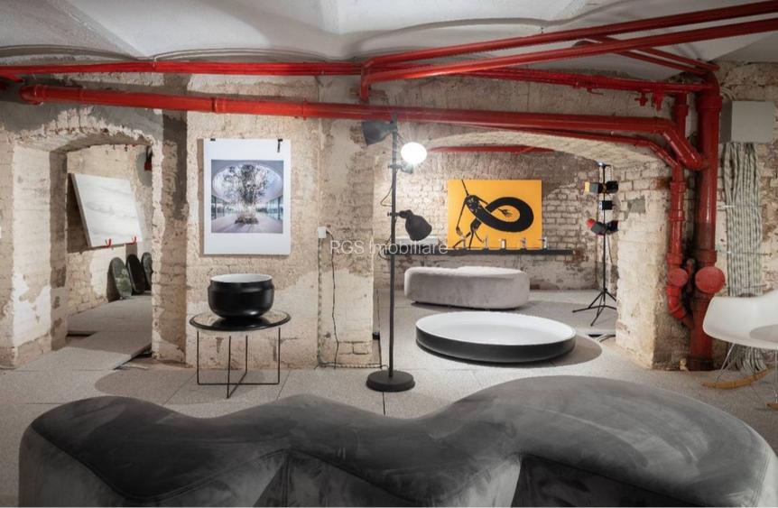 Spatiu Comercial Cismigiu - 13