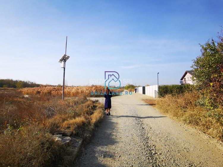 Domnesti, Teghes, teren la padure, str. Argesului, teren 2475mp, d=36.2m - 3