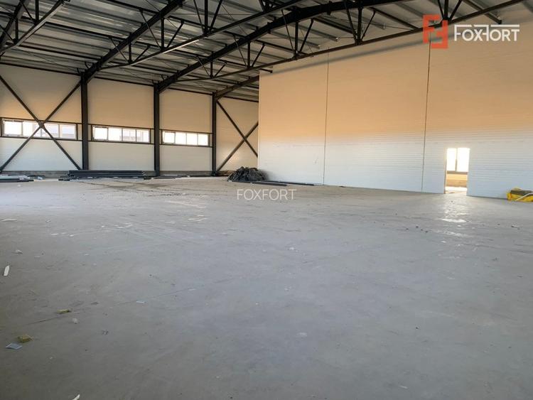 Hala industriala 600 mp, curte 1398 mp, parcare, toate utilitatile - Ghiroda - 7