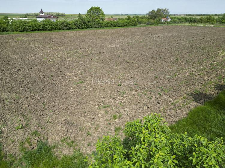 Teren Intravilan de 3,090 mp în Cuvin - 11