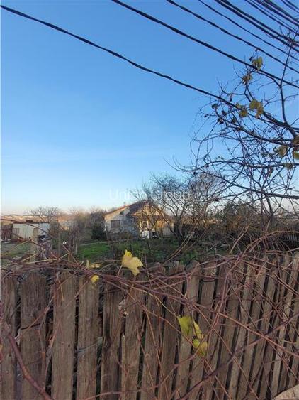 Constructie plus Teren Intravilan 2500 mp - Lazu - 19